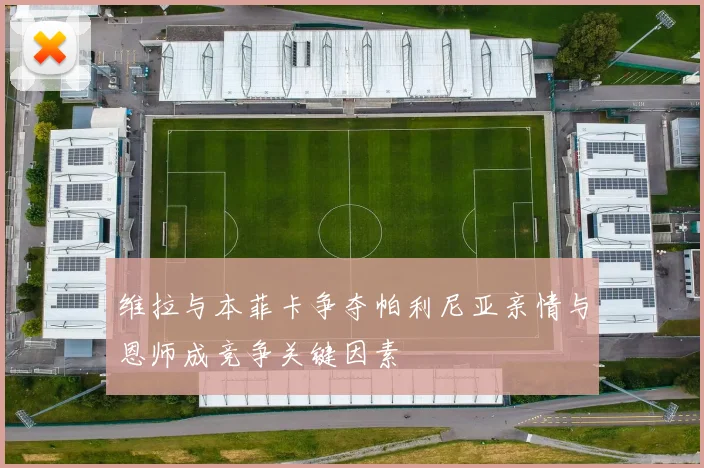 维拉与本菲卡争夺帕利尼亚亲情与恩师成竞争关键因素